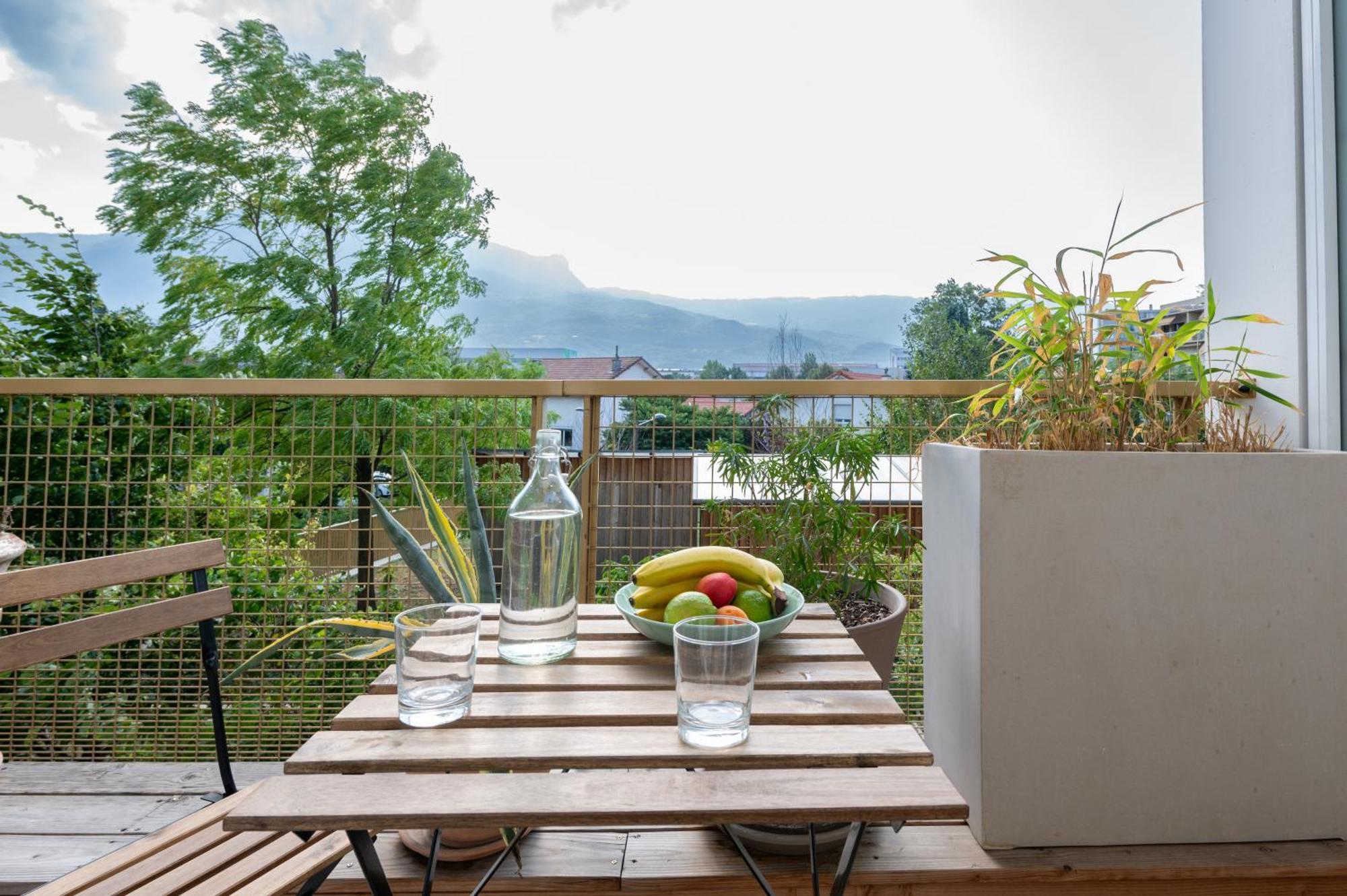 Calme Et Verdure: Vue Montagne - Terrasse - Wifi Grenoble Eksteriør billede